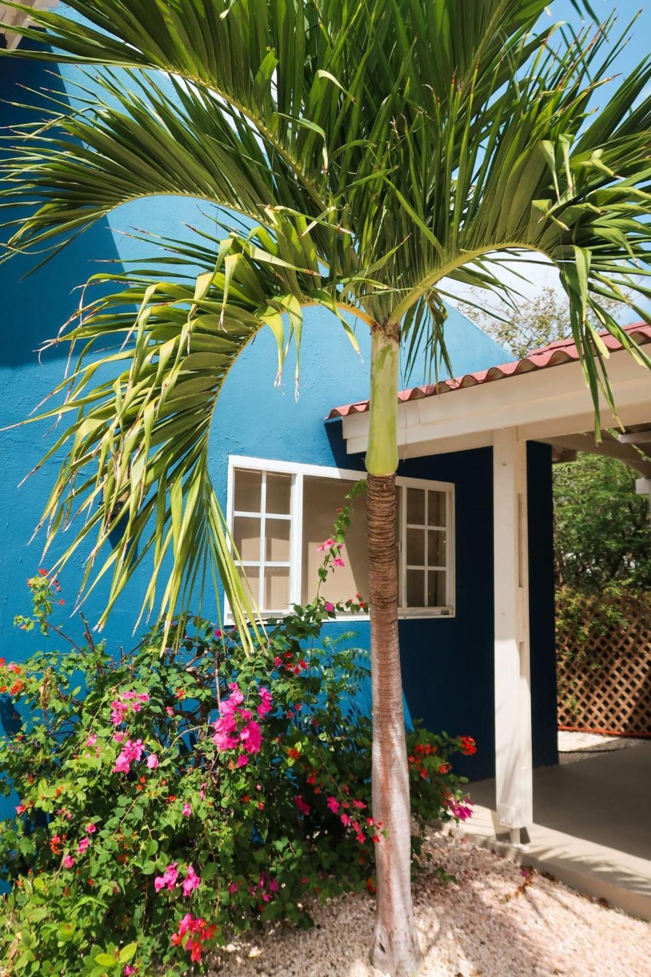 Mini Resort Kaya Verdi Willemstad Bagian luar foto